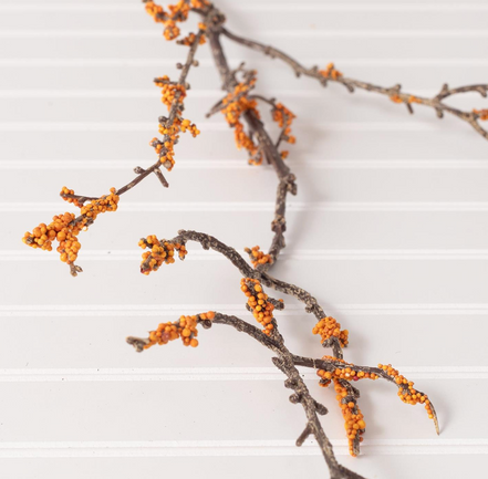 Orange Berry Stem