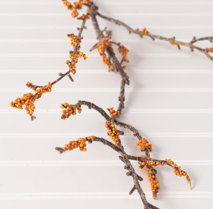 Orange Berry Stem