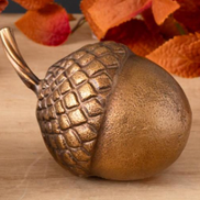 Brass Finish Acorn Accents