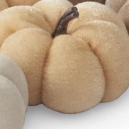 Velvet Mini Pumpkins