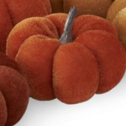 Velvet Mini Pumpkins