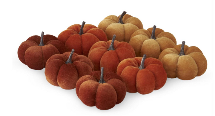 Velvet Mini Pumpkins
