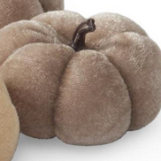 Velvet Mini Pumpkins