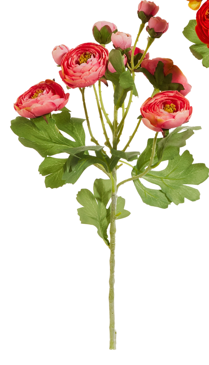 21.5" Ranunculus Spray