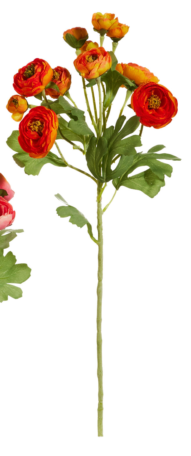 21.5" Ranunculus Spray