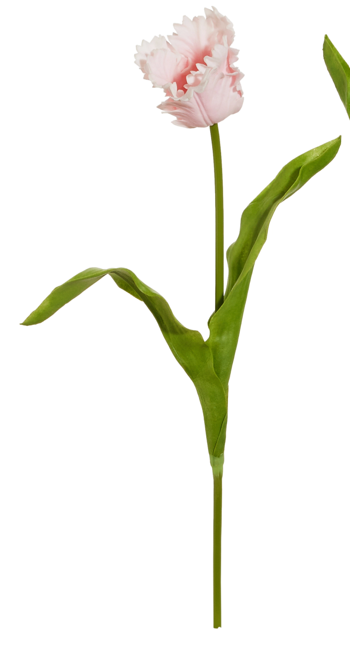 22.5" Real Touch Pink Parrot Tulip Stem
