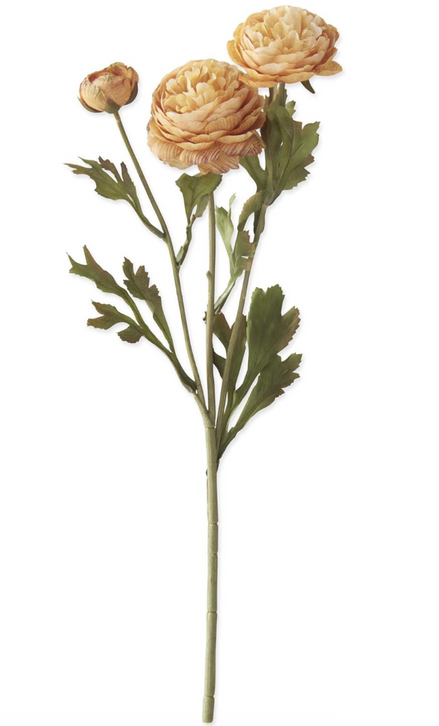 20" Two Blossom & Bud Ranunculus Stem