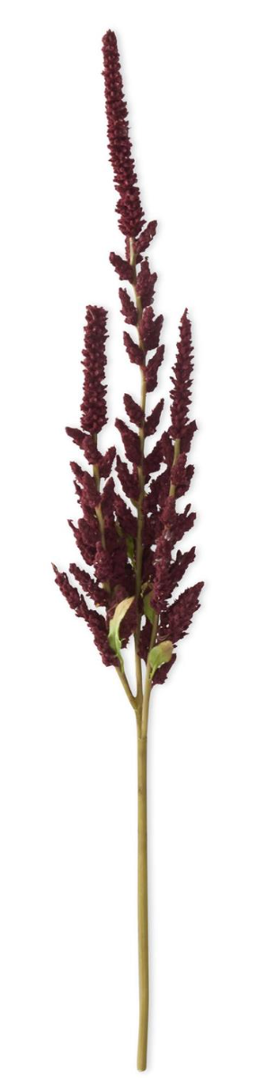 37" Amaranthus Stem