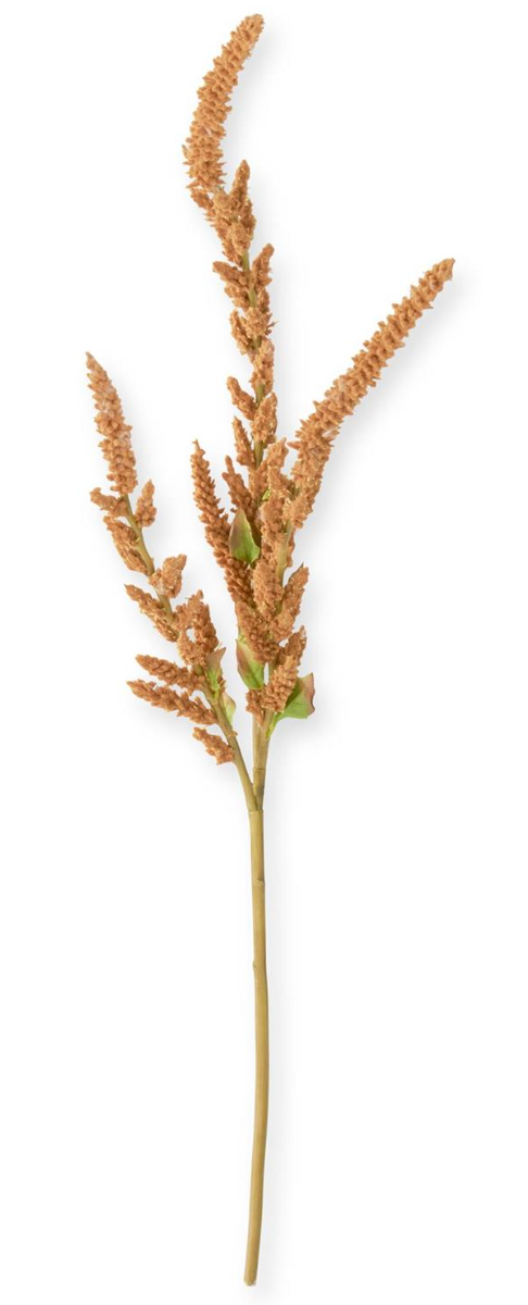 37" Amaranthus Stem