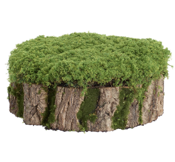 Moss Stump
