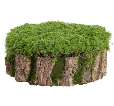 Moss Stump