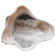 The Midnight Coast Onyx Bowls