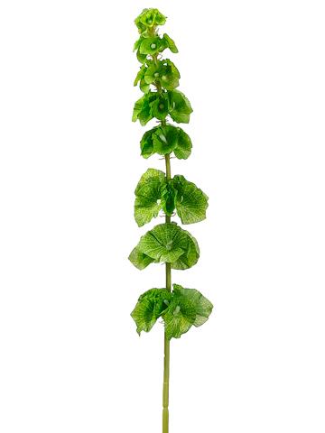 Bells of Ireland Green Spray