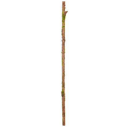 57" Moss Branch
