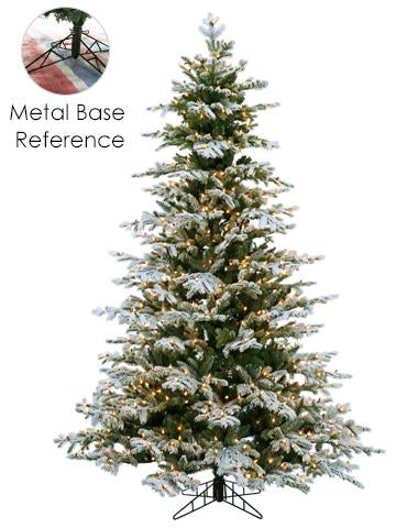 7.5'x61"D Snowy Norway Spruce Tree - The Banks