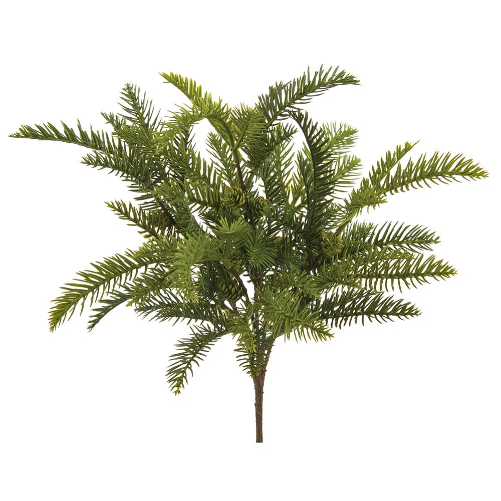 Pine Bush with Pine Cone
