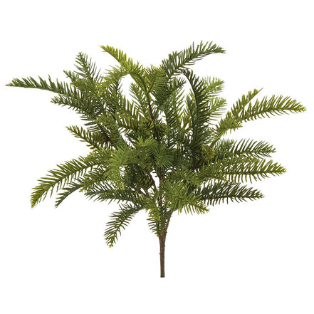 Pine Bush with Pine Cone