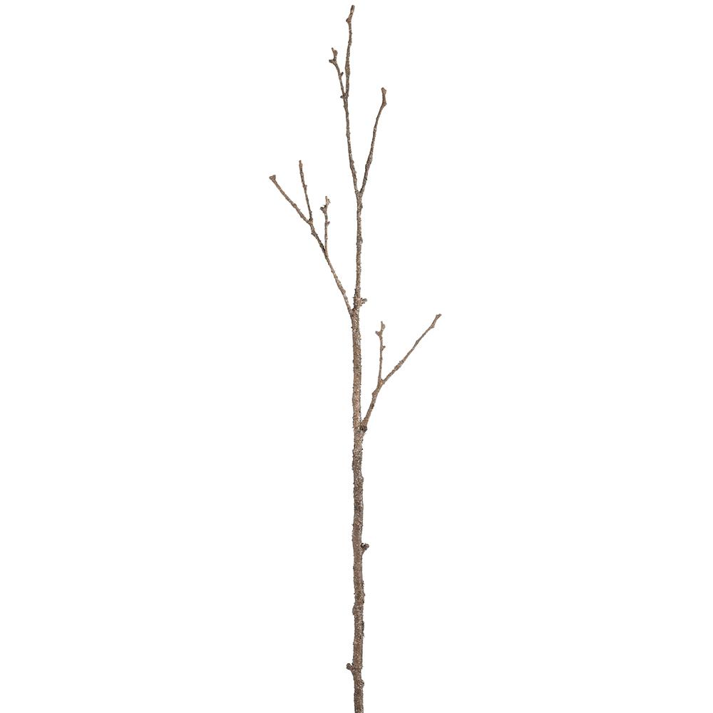 Pine Cone Branch