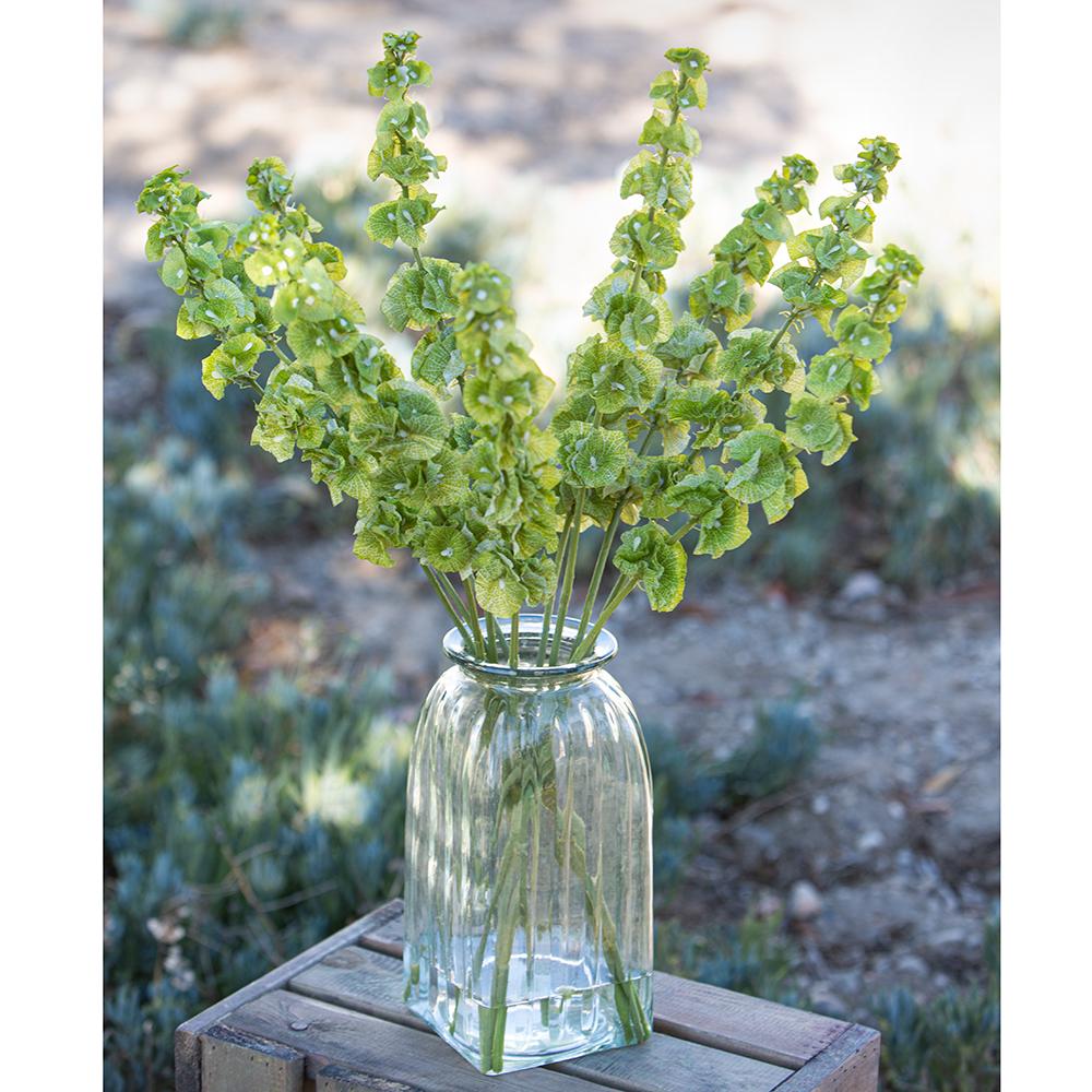 Bells of Ireland Green Spray