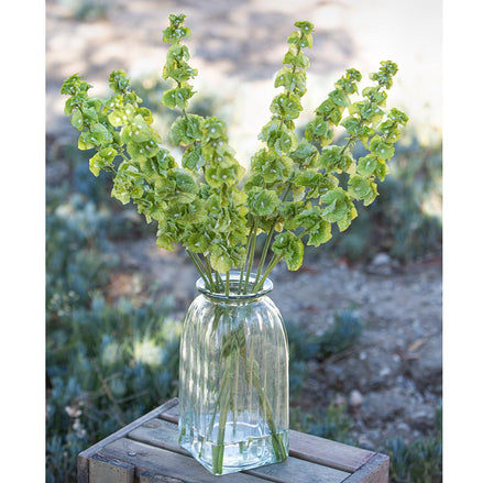 Bells of Ireland Green Spray