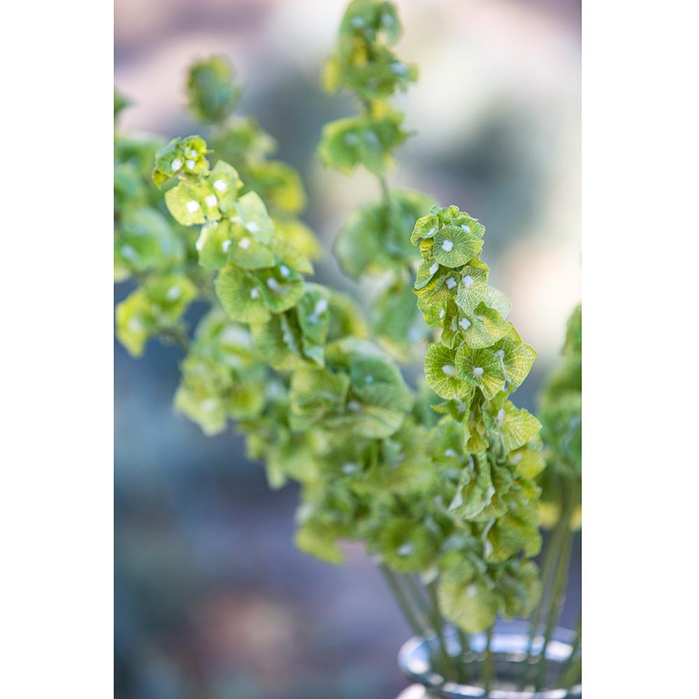 Bells of Ireland Green Spray