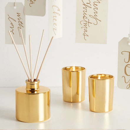 Frasier Fir Petite Reed Diffuser