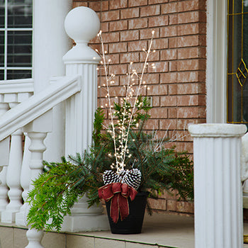 Twig Light Set of 3 Stems