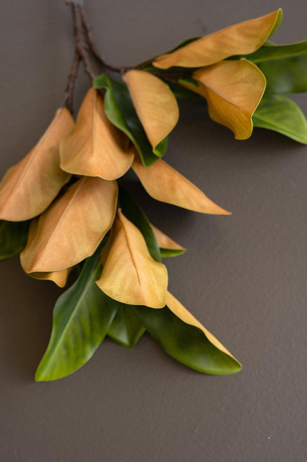 Magnolia Leaves Spray