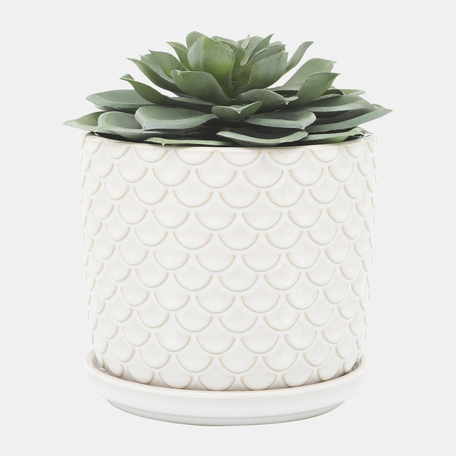 Scaly Planters W/ Saucer, Ivory
