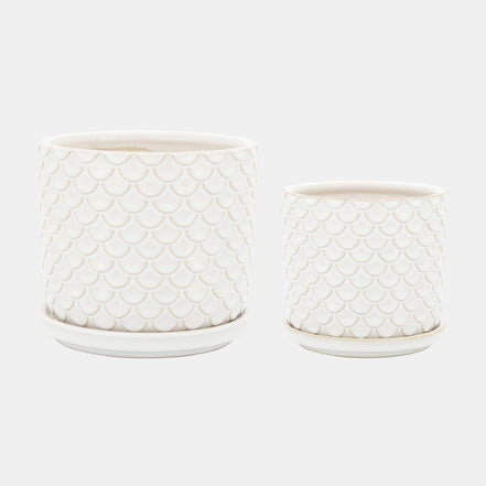 Scaly Planters W/ Saucer, Ivory