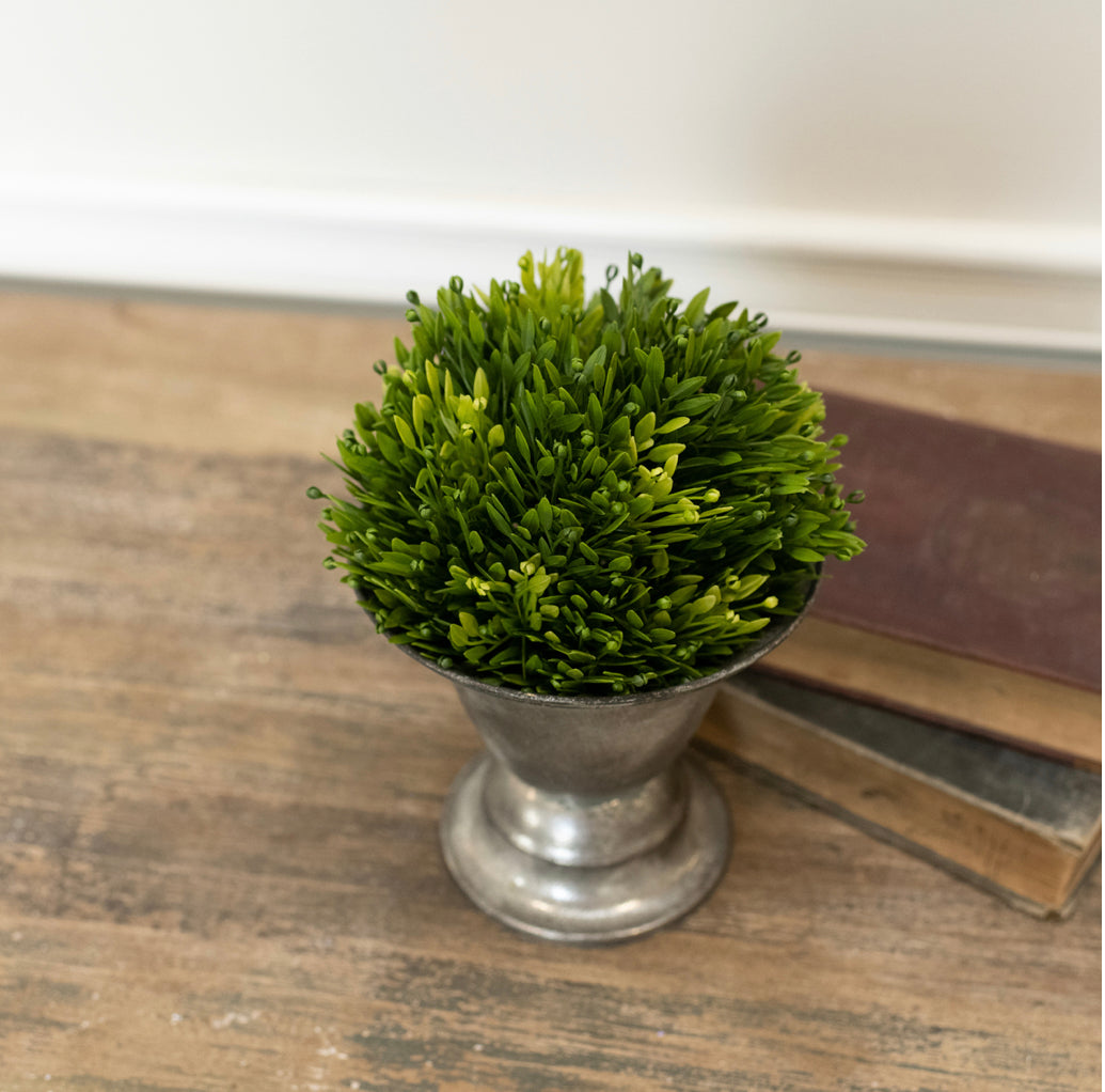 6” Green Chickweed Half Ball