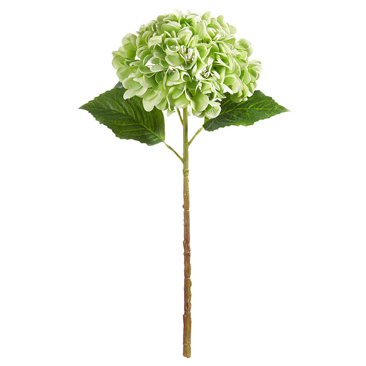 STEM 20.5" REAL TOUCH GREEN HYDRANGEA