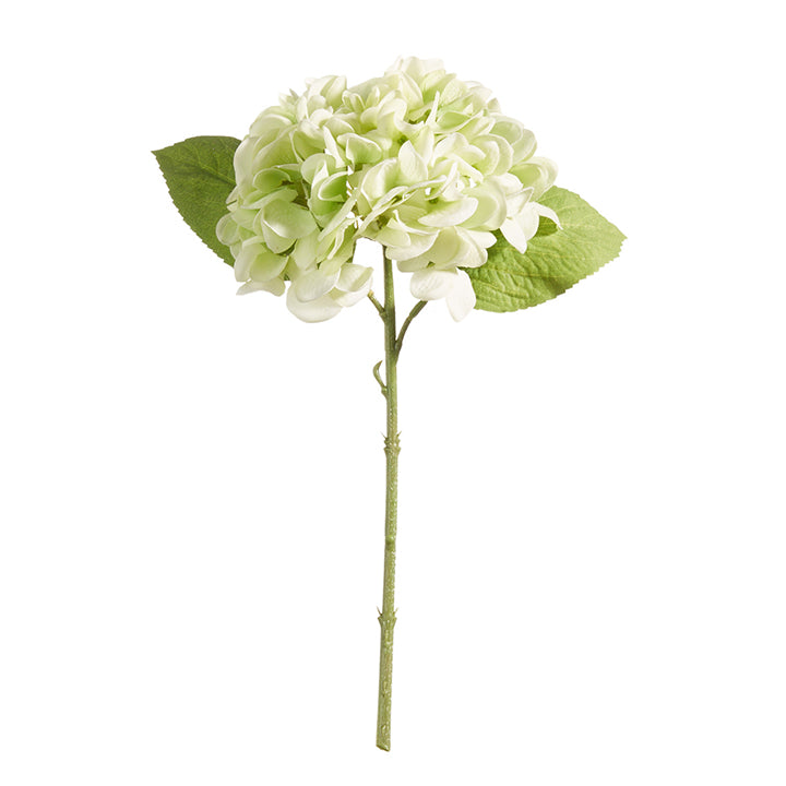 STEM 13" REAL TOUCH GREEN HYDRANGEA