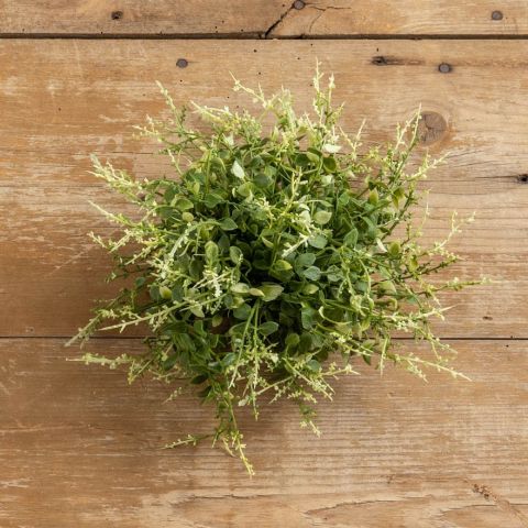 Light Green Knoweed Half Ball RH 9"