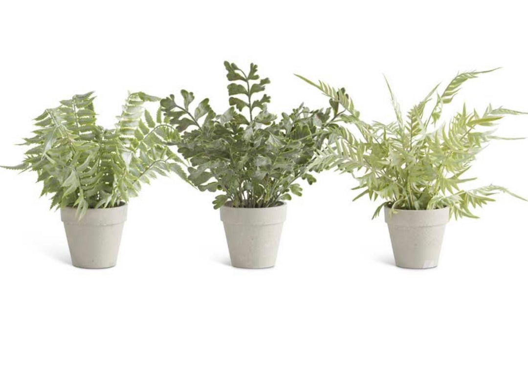 Real Touch Ferns In Gray Pots