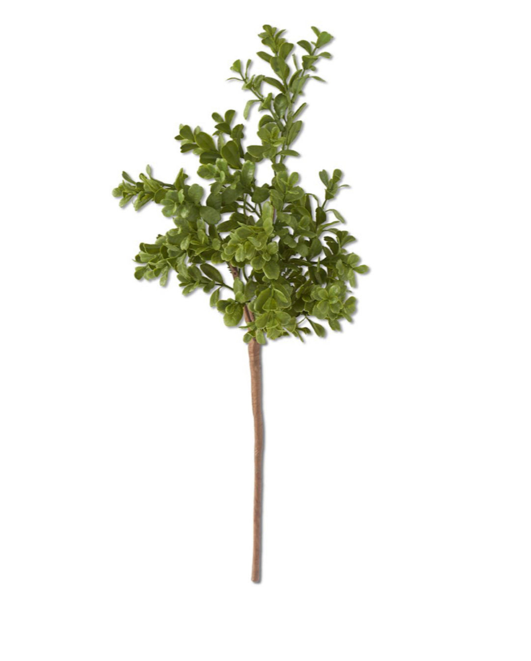Stem 18" Real Touch Boxwood Pick