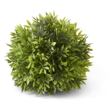 6" Podocarpus Ball