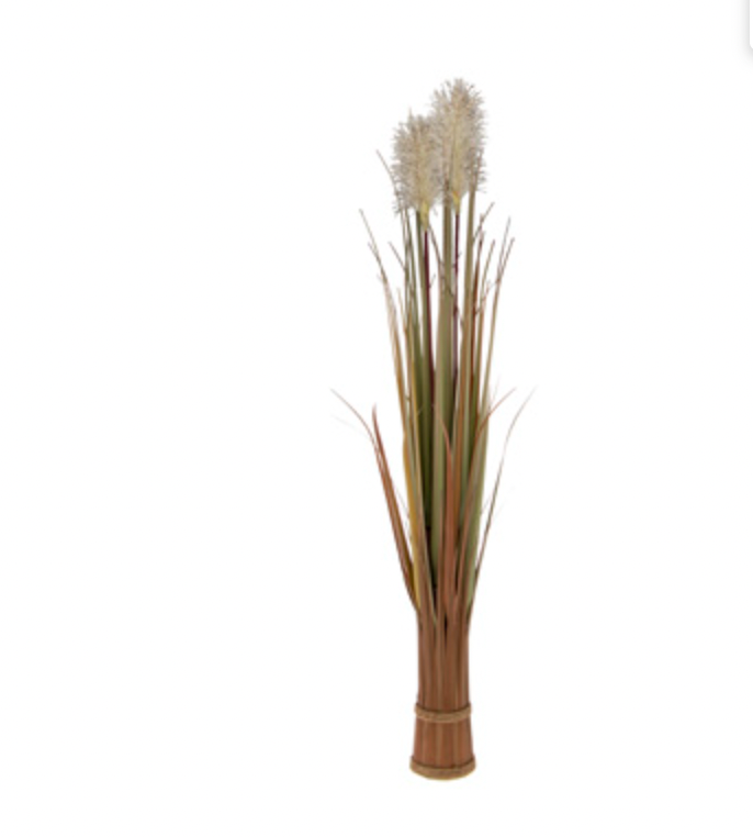Reed Grass Bundle