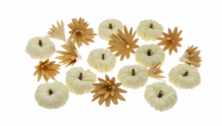 WHITE PUMPKINS IN BOX