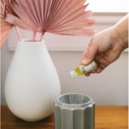 Sweet Grace Fragrance Oil