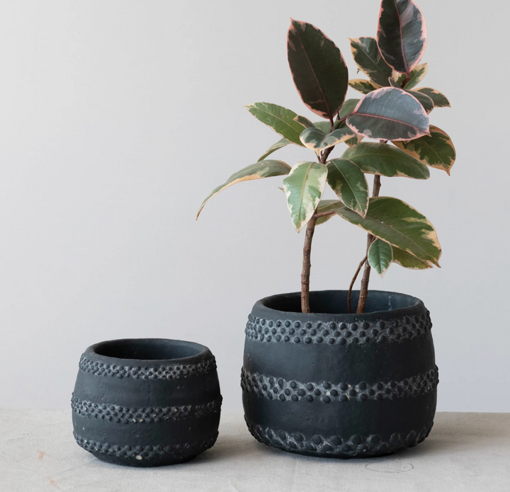 Terra-cotta Planter w/ Raised Dots