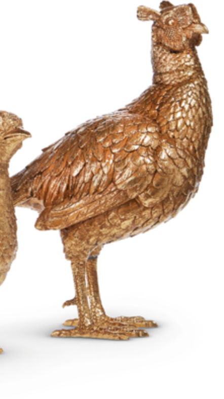 Gold Pheasant