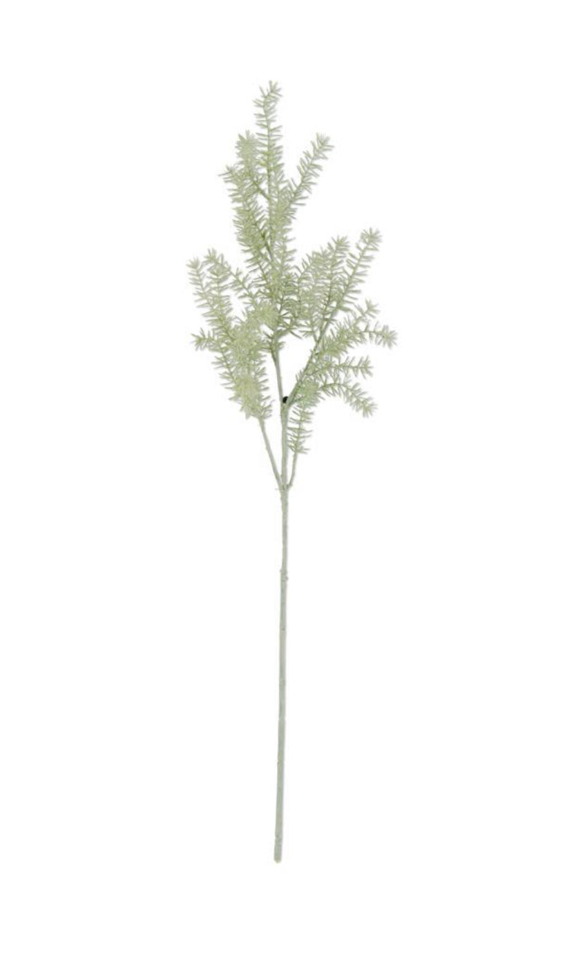 Stem 36” Asparagus Fern