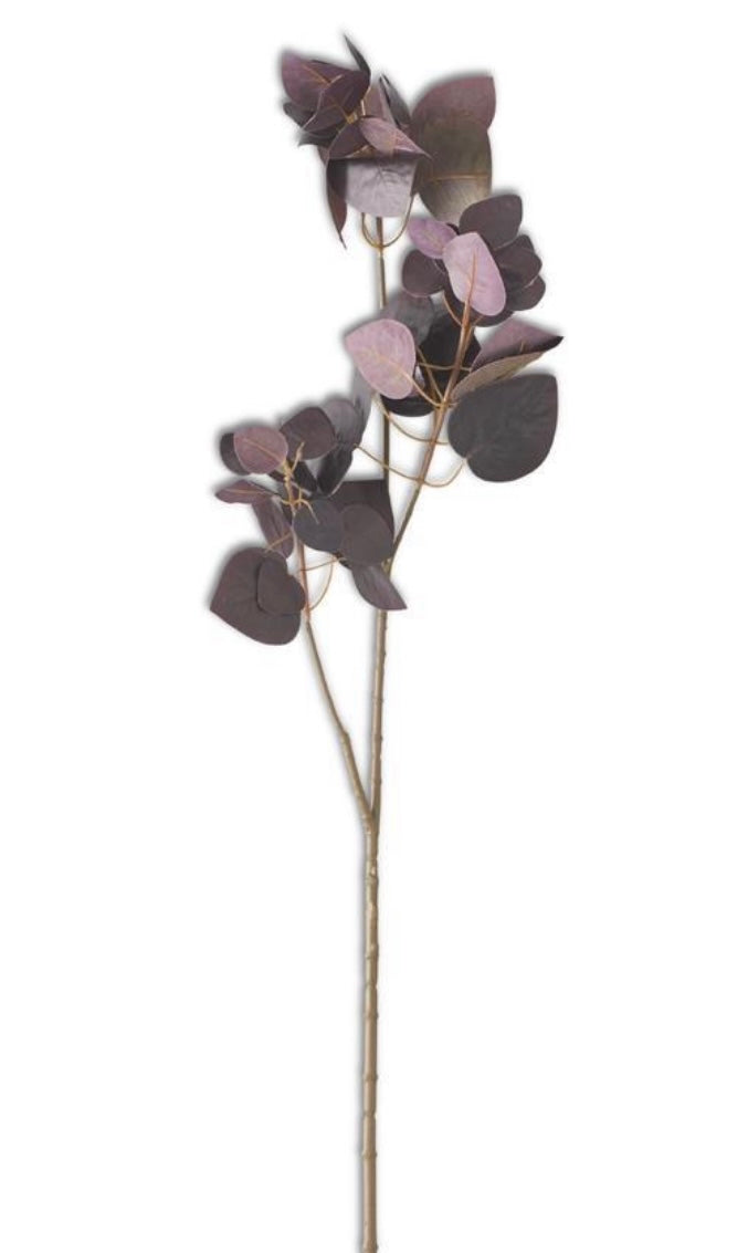 Stem 31” Burgundy Flat Leaf Eucalyptus KK