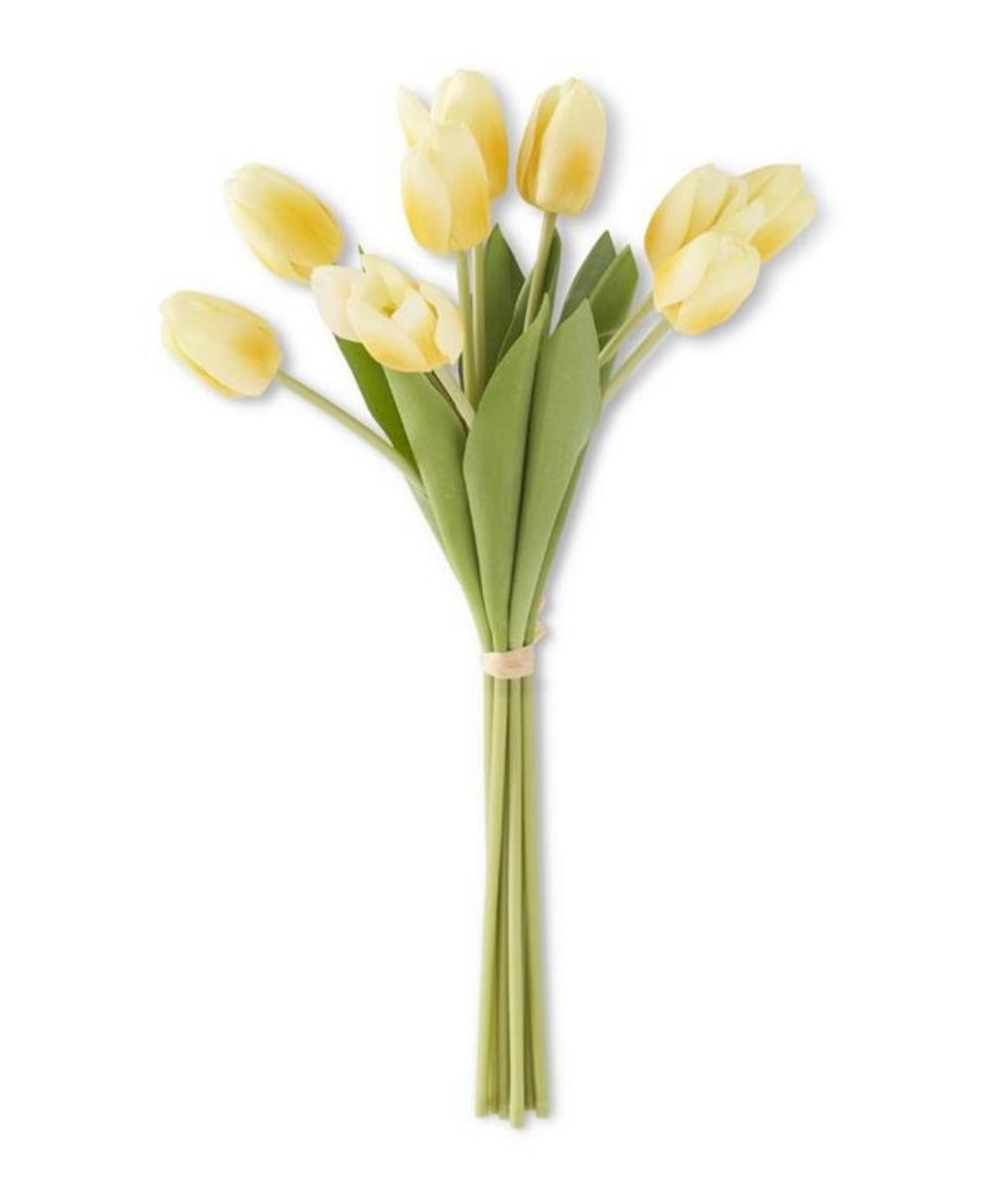 Stem 19” Light Yellow Real Touch Tulip Bundle KK