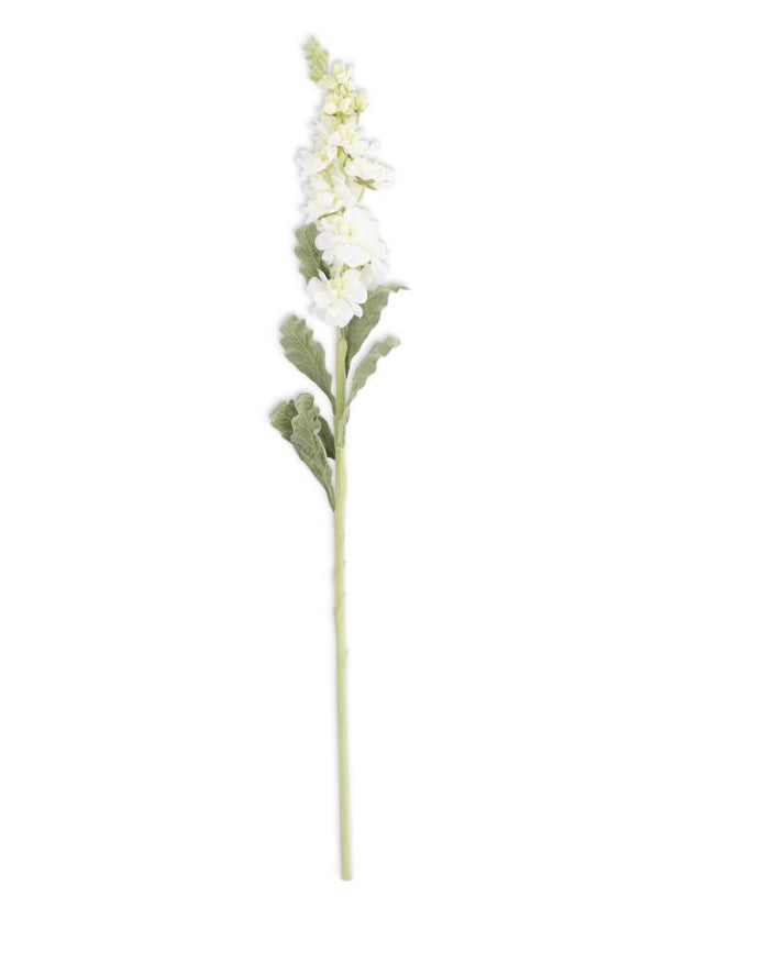 30” White Stock Flowers Stem