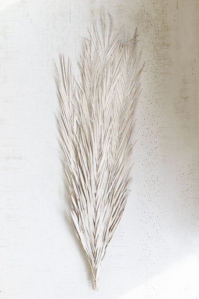 Frosted Date Palm Leaves Pack Of 10 KAL