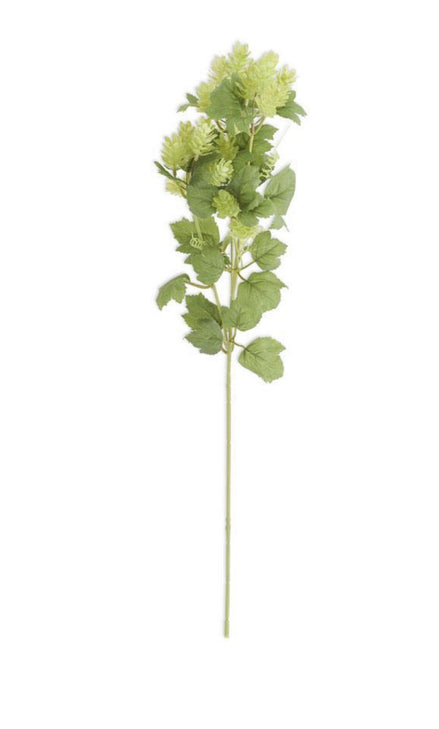 31” Green Hops Spray