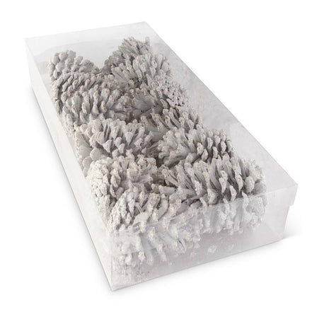 Box Of 12 Glittery Pinecones White KK